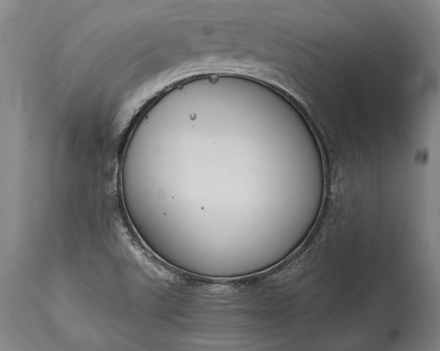 X0000115441507200911181511