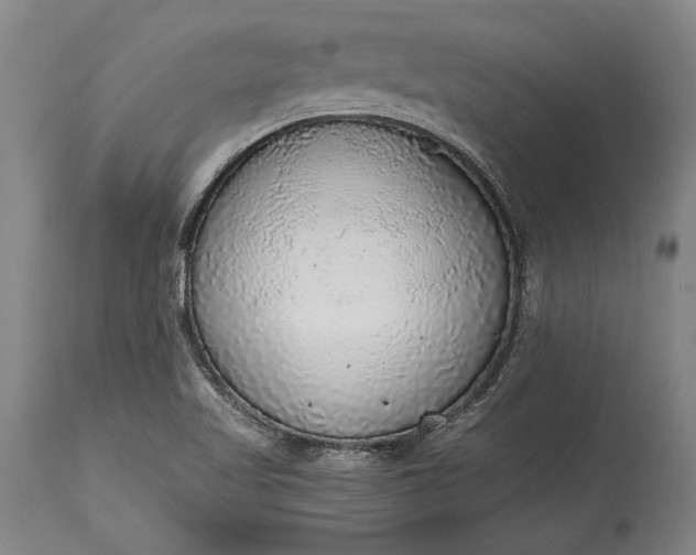 X0000115441509200911181511