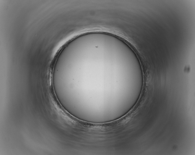 X0000115441510200911181511