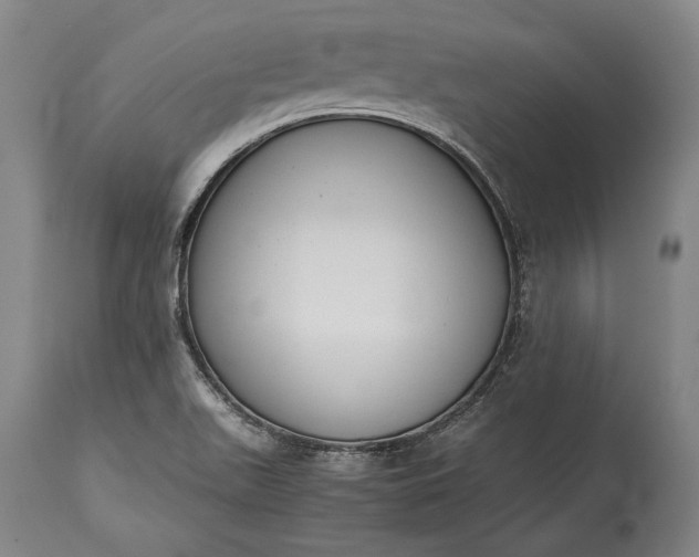X0000115441511200911181511