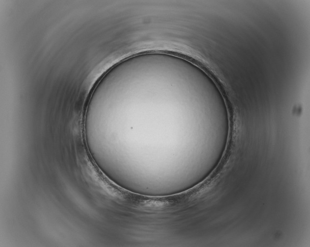 X0000115441513200911181511