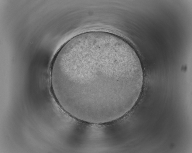 X0000115441514200911181511