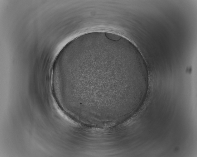 X0000115441515200911181511