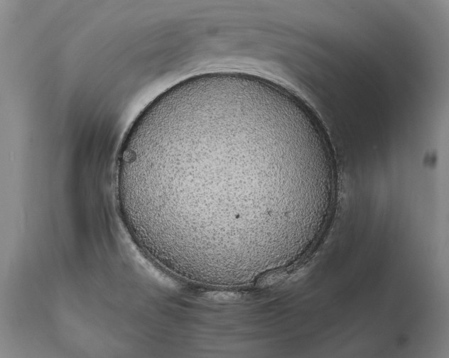 X0000115441517200911181511