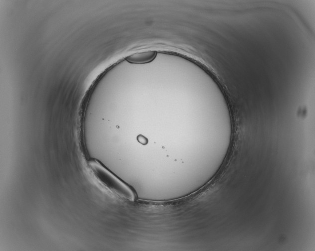 X0000115441518200911181511