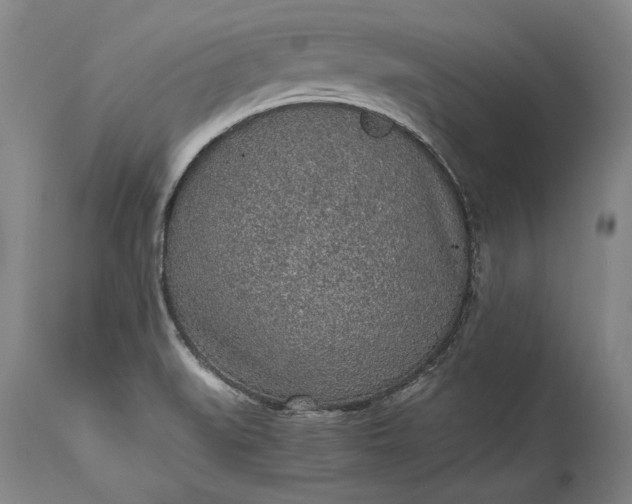 X0000115441519200911181511