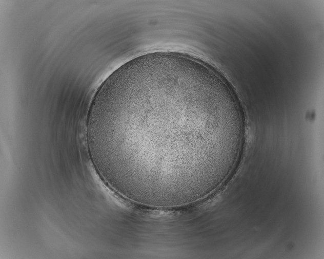 X0000115441521200911181511