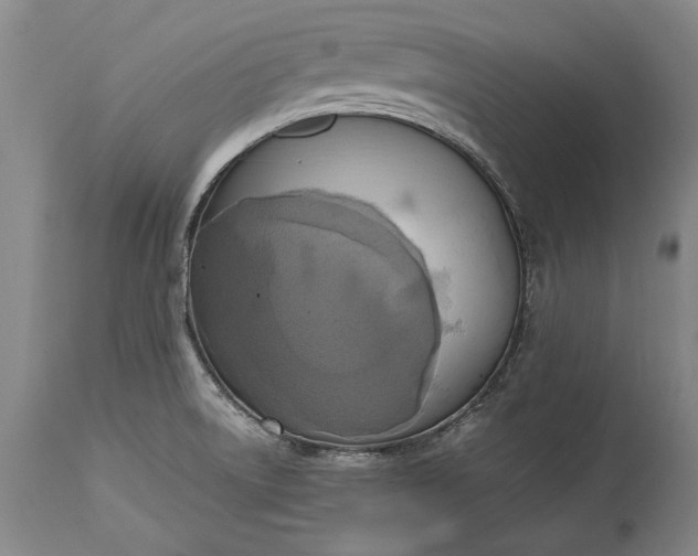 X0000115441522200911181512