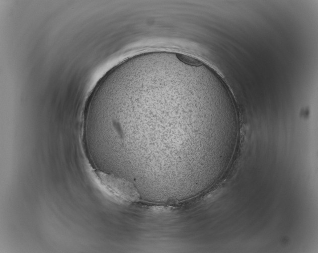 X0000115441523200911181512