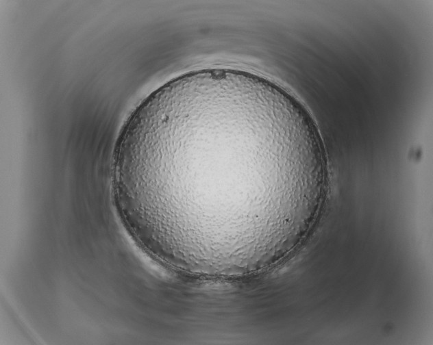 X0000115441525200911181512