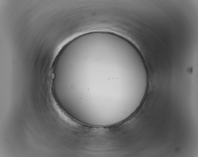 X0000115441526200911181512