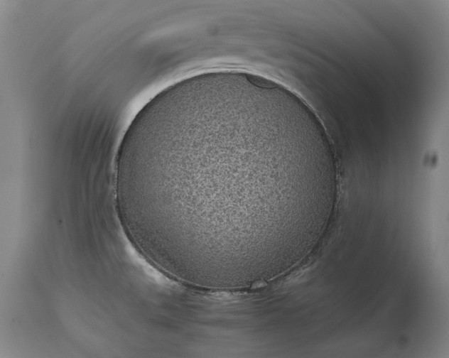 X0000115441527200911181512