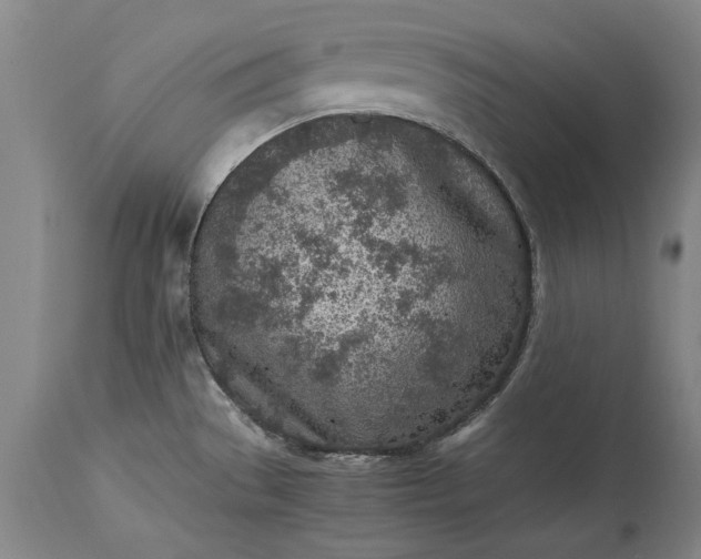 X0000115441529200911181512