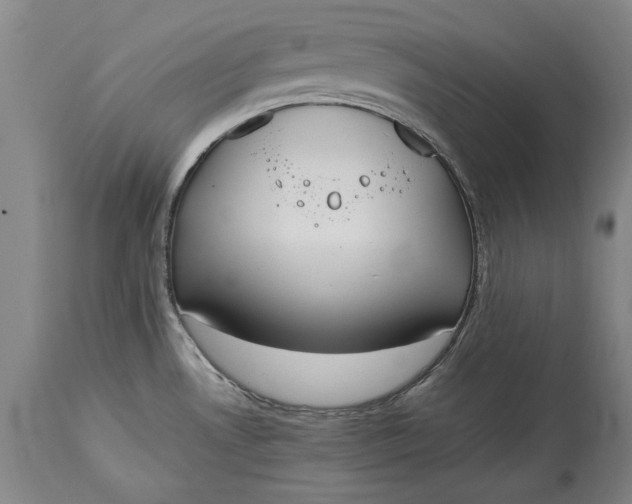 X0000115441530200911181512