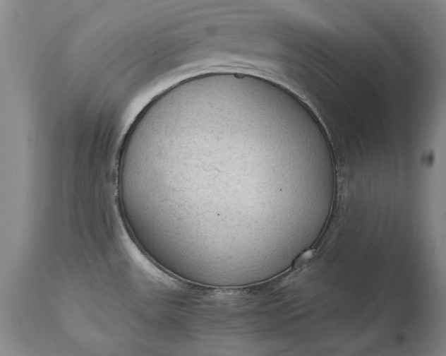 X0000115441531200911181512