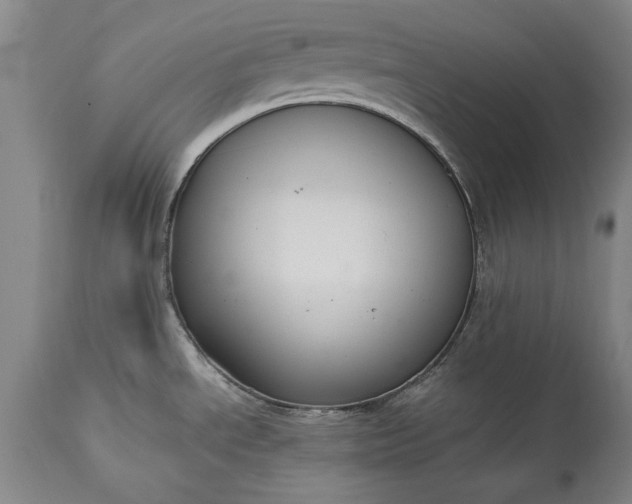 X0000115441534200911181512