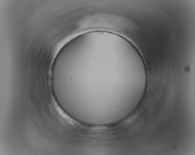 X0000115441535200911181512