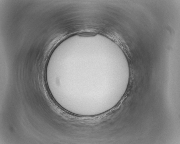 X0000115440001200911251256