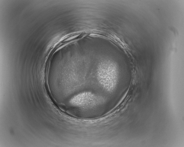 X0000115440002200911251256