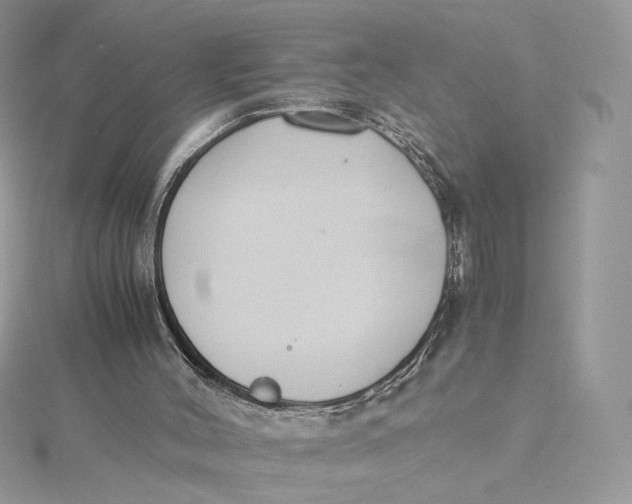 X0000115440004200911251256