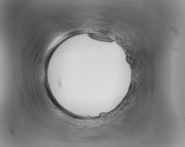 X0000115440005200911251256