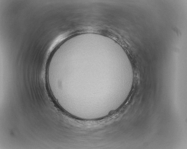 X0000115440006200911251256