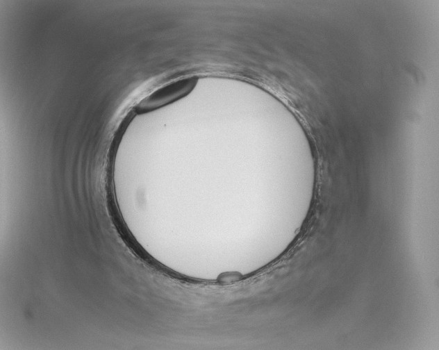 X0000115440007200911251256