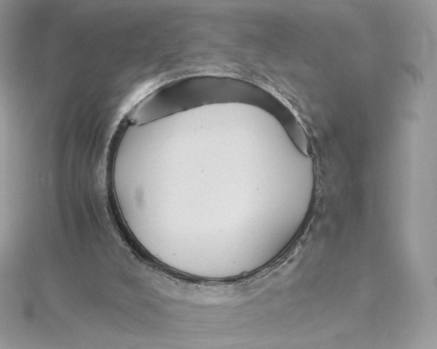 X0000115440008200911251255