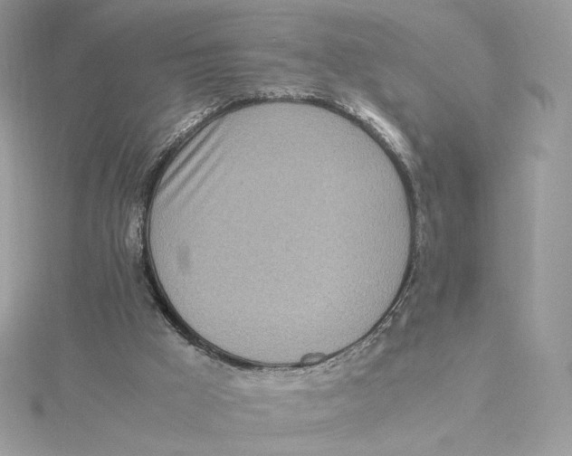 X0000115440009200911251255