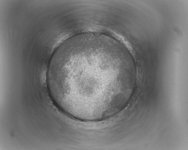 X0000115440010200911251255