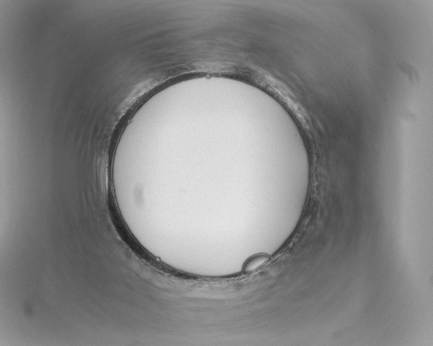 X0000115440011200911251255