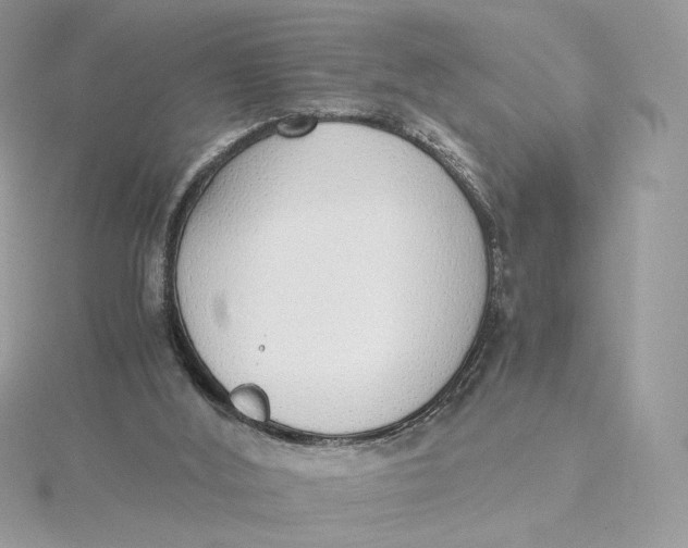 X0000115440012200911251255