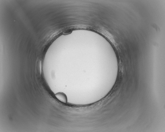 X0000115440013200911251255