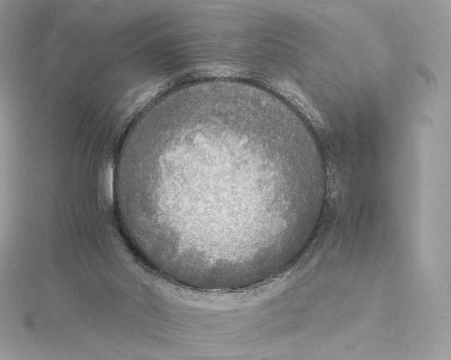 X0000115440014200911251255