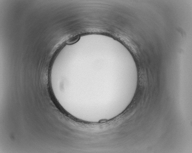 X0000115440015200911251255