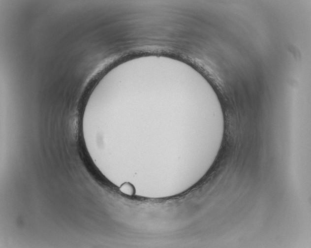 X0000115440016200911251255