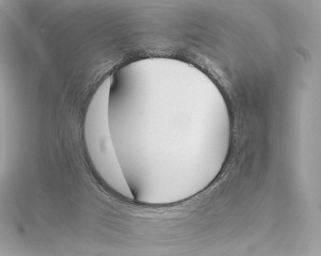 X0000115440017200911251255