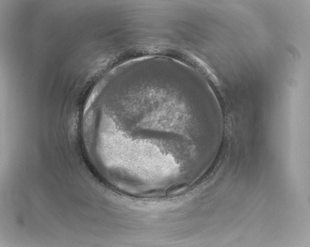 X0000115440018200911251255