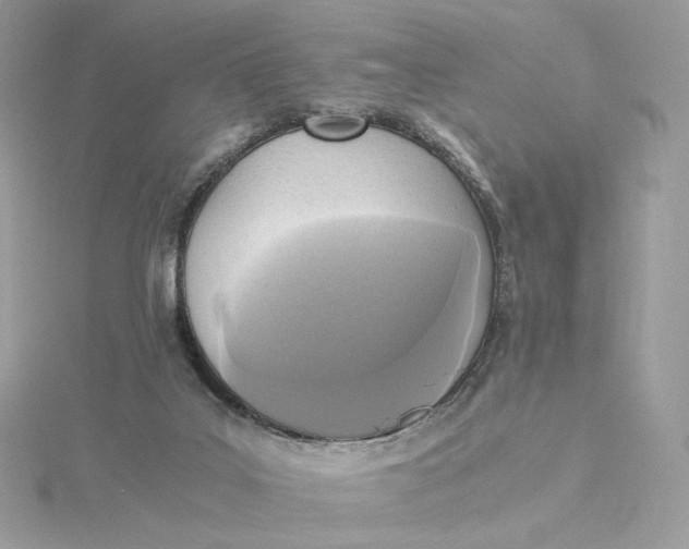 X0000115440019200911251255