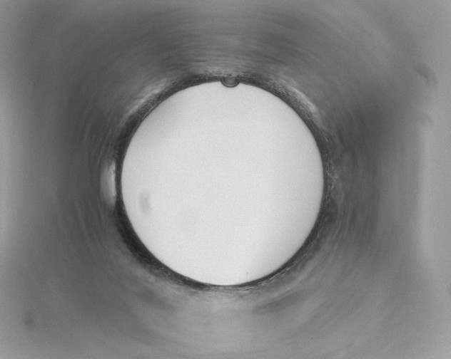 X0000115440020200911251255