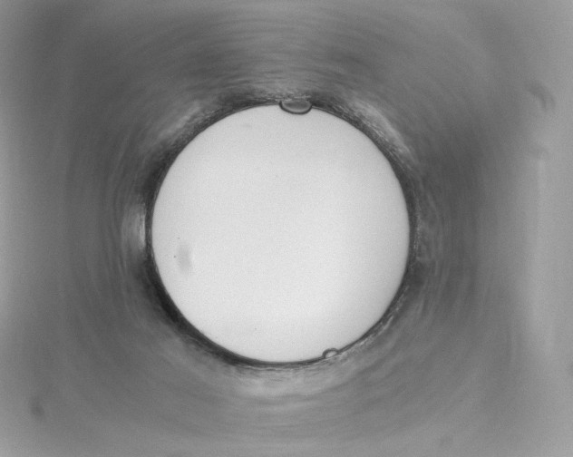 X0000115440021200911251255