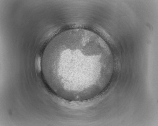 X0000115440022200911251255