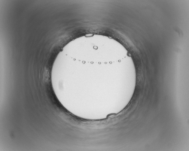 X0000115440025200911251255