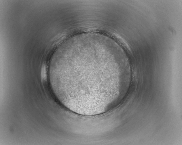 X0000115440026200911251255