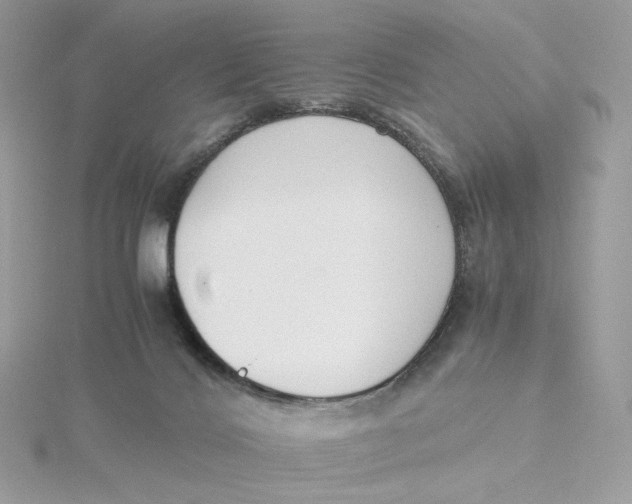 X0000115440028200911251255