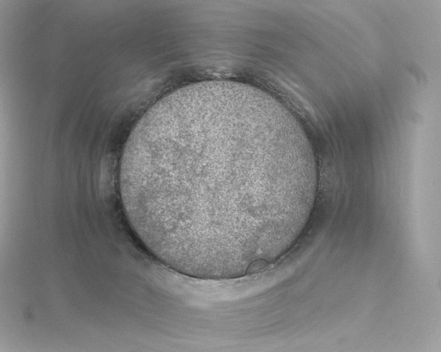 X0000115440030200911251255