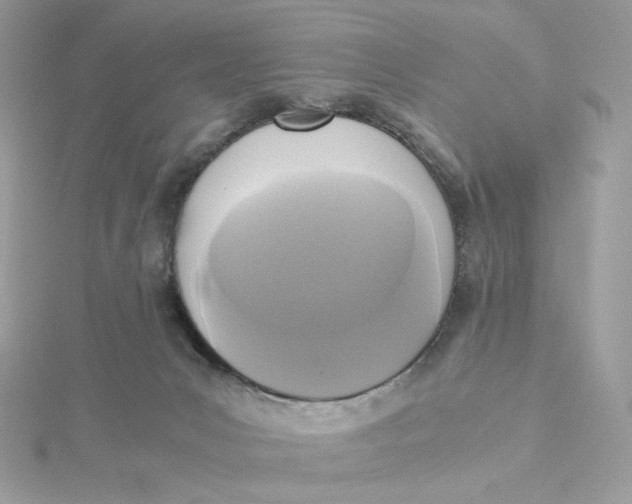 X0000115440031200911251255