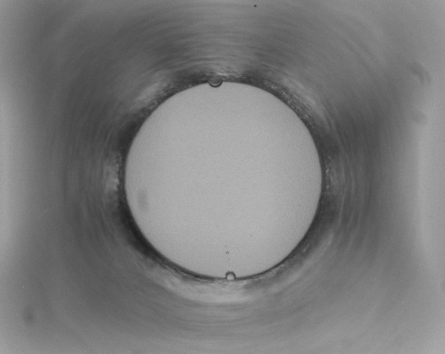 X0000115440032200911251255