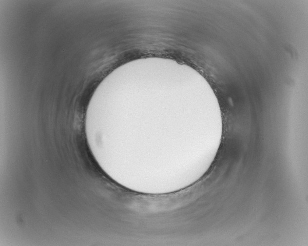 X0000115440033200911251255