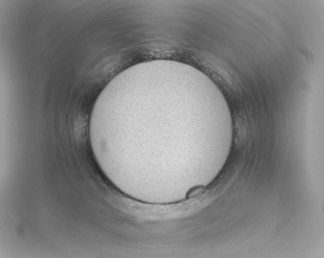 X0000115440034200911251255